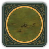 Feudums Terrains Grassland