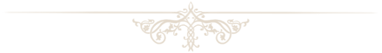 Ornament2
